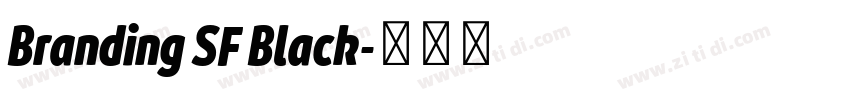 Branding SF Black字体转换